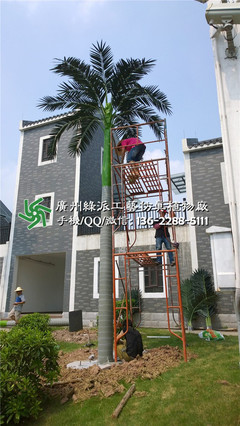 仿真椰子树保鲜海南弯杆假叶大型室内外广场园林商场酒店装饰工.